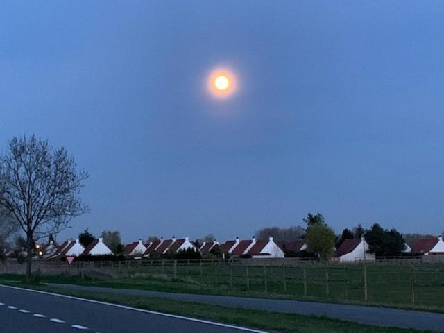 Duinendaele 232 Met Sauna Bij Plopsaland En Natuurreservaat 드판 외부 사진