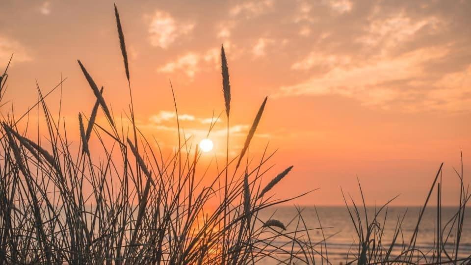 Duinendaele 232 Met Sauna Bij Plopsaland En Natuurreservaat 드판 외부 사진